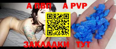 бошки Кингисепп