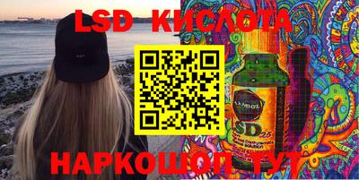 бошки Кингисепп
