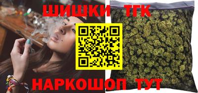 бошки Кингисепп