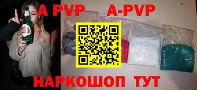 бошки Кингисепп