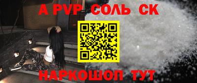 бошки Кингисепп
