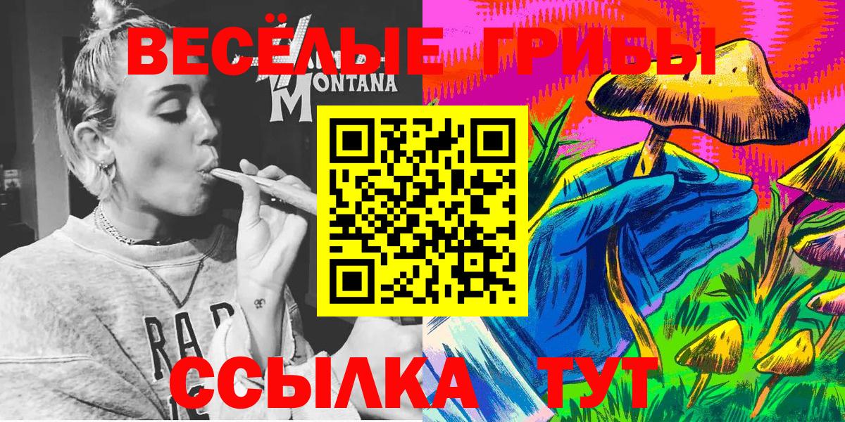 Кызыл  Псилоцибиновые грибы ЛСД  Вход с VPN 